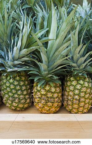 Stock Image - Pineapples on market. Fotosearch