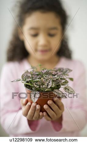 Stock Photo - Portrait of defocused girl (6-7) holding potted plant. Fotosearch