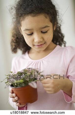 Portrait of girl (6-7) holding potted plant View Large Photo Image Stock Photo - Portrait of girl (6-7) holding potted plant. Fotosearch