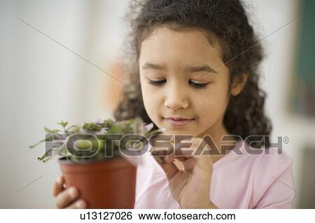 Portrait of girl (6-7) holding potted plant View Large Photo Image Stock Photograph - Portrait of girl (6-7) holding potted plant. Fotosearch