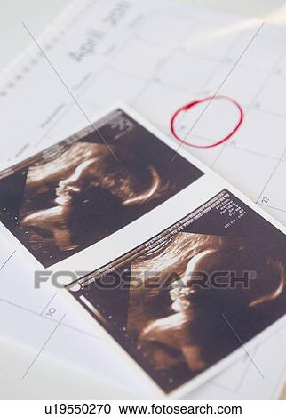 Sonogram picture and calendar with due date View Large Photo Image Stock Image - Sonogram picture and calendar with due date . Fotosearch