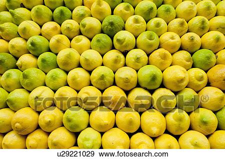Stack of lemons on market View Large Photo Image Stock Photo - Stack of lemons on market. Fotosearch