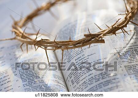 Stock Photo - Studio shot of crown of thorns and bible. Fotosearch