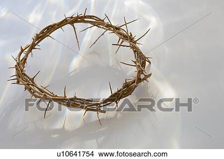 Picture - Studio shot of crown of thorns. Fotosearch