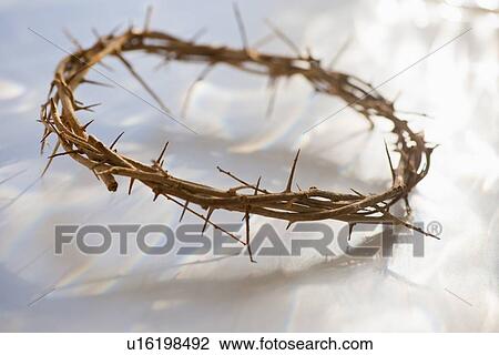 Stock Image - Studio shot of crown of thorns. Fotosearch