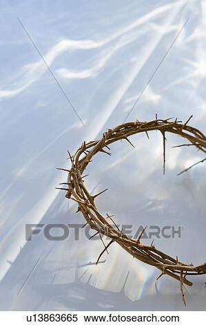Stock Photography - Studio shot of crown of thorns. Fotosearch