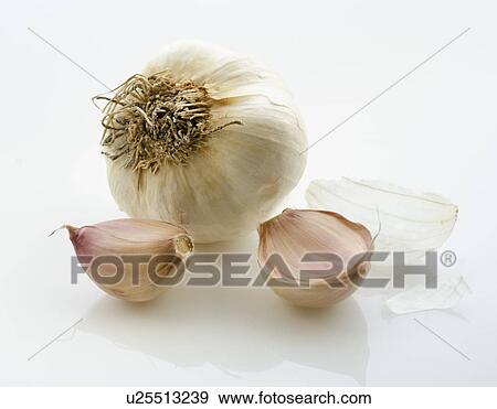 Stock Photo - Studio shot of garlic. Fotosearch