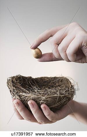 Stock Photo - Studio shot of hand putting small gold egg into nest. Fotosearch