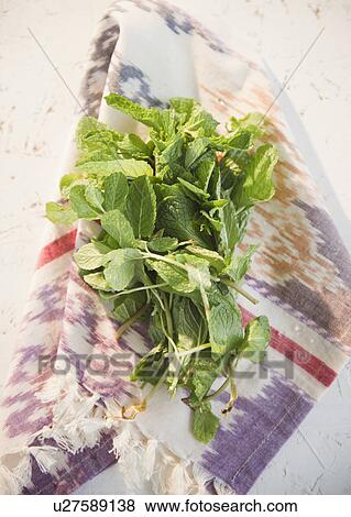 Studio shot of mint leaves View Large Photo Image Stock Photo - Studio shot of mint leaves. Fotosearch
