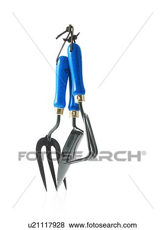 Stock Photo - Studio shot of spade and gardening forks. Fotosearch