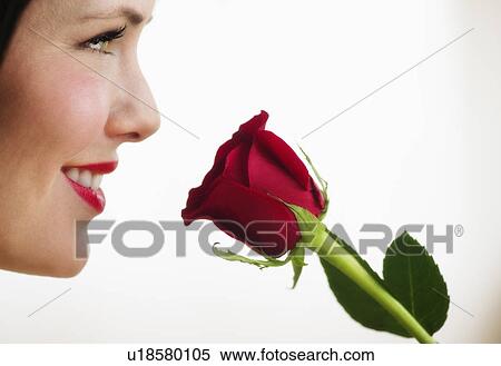 Stock Photography - Studio shot of woman smelling red rose. Fotosearch