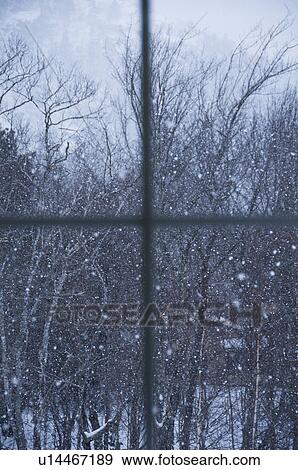 Stock Photo - USA, Maine, Camden, window overlooking snowy forest. Fotosearch