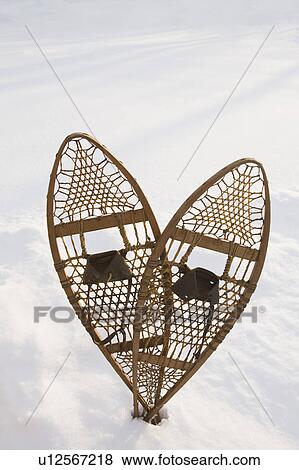 Stock Photo - USA, New Jersey, Pair of snowshoe. Fotosearch