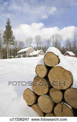 Stock Photo - USA, New Jersey, Stack of timber in winter scenery. Fotosearch