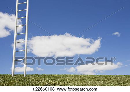 Stock Photo - USA, New Jersey, White ladder in field. Fotosearch