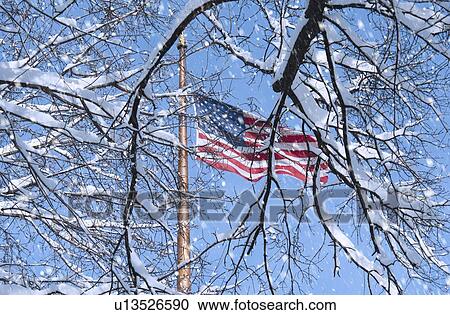 USA, New York, New York City, american flag behind branches covered with snow View Large Photo Image Stock Image - USA, New York, New York City, american flag behind branches covered with snow. Fotosearch