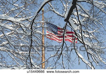 USA, New York, New York City, american flag behind winter trees View Large Photo Image Stock Photograph - USA, New York, New York City, american flag behind winter trees. Fotosearch
