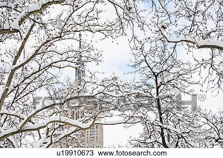 Stock Image - USA, New York, New York City, Empire State Building behind winter trees. Fotosearch