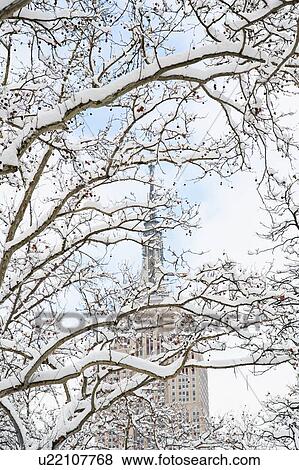 USA, New York, New York City, Empire State Building behind branches covered with snow View Large Photo Image Stock Photo - USA, New York, New York City, Empire State Building behind branches covered with snow. Fotosearch