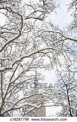 Stock Photograph - USA, New York, New York City, Empire State Building behind branches covered with snow. Fotosearch