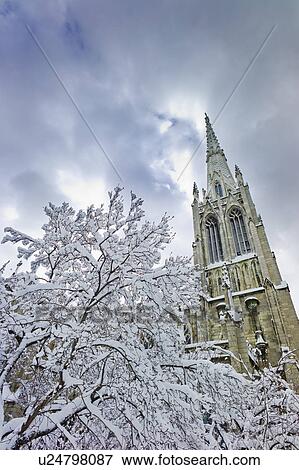 Stock Photo - USA, New York, New York City, winter tree with church tower behind. Fotosearch