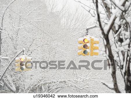 USA, New York State, Brooklyn, Williamsburg, street lights and snow covered trees View Large Photo Image Stock Image - USA, New York State, Brooklyn, Williamsburg, street lights and snow covered trees. Fotosearch