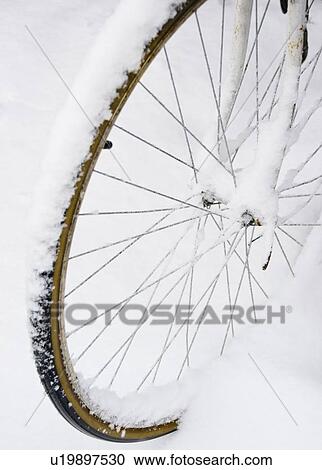 Stock Image - USA, New York State, Brooklyn, Williamsburg, bicycle wheel in snow. Fotosearch