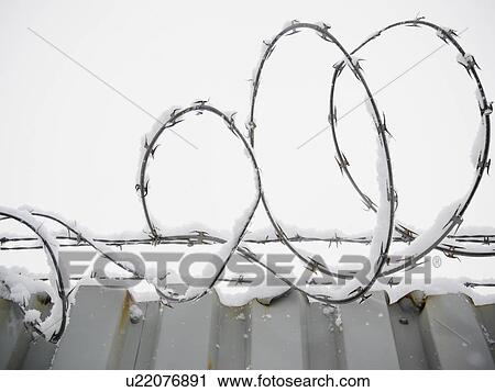 USA, New York State, Brooklyn, Williamsburg, barbed wire covered with snow View Large Photo Image Stock Image - USA, New York State, Brooklyn, Williamsburg, barbed wire covered with snow. Fotosearch
