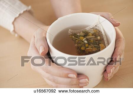 Woman holding cup with chamomile tea View Large Photo Image Stock Image - Woman holding cup with chamomile tea. Fotosearch