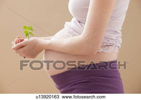 Stock Image - Young pregnant woman holding young plant. Fotosearch