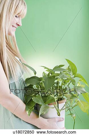 Stock Image - Young woman holding potted plant. Fotosearch
