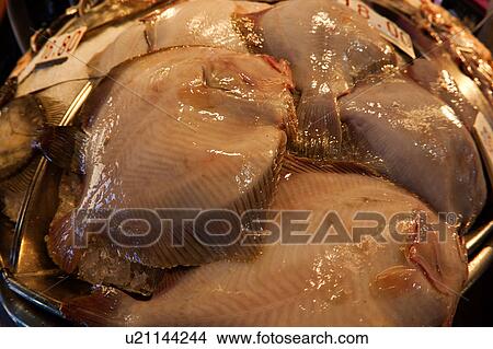 Fish market at Rialto Bridge: close up of display, Venice, Northern Italy View Large Photo Image Picture - Fish market at Rialto Bridge: close up of display, Venice, Northern Italy. Fotosearch