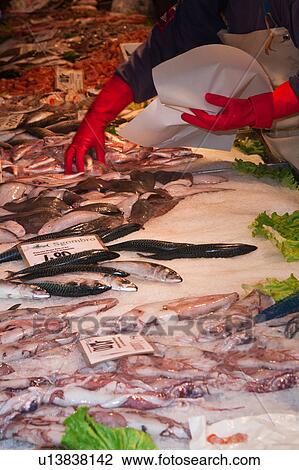 Fish market at Rialto Bridge: close up of display, with motion blur of vendor wearing bright red gloves, packaging fish, Venice, Northern Italy View Large Photo Image Stock Image - Fish market at Rialto Bridge: close up of display, with motion blur of vendor wearing bright red gloves, packaging fish, Venice, Northern Italy. Fotosearch