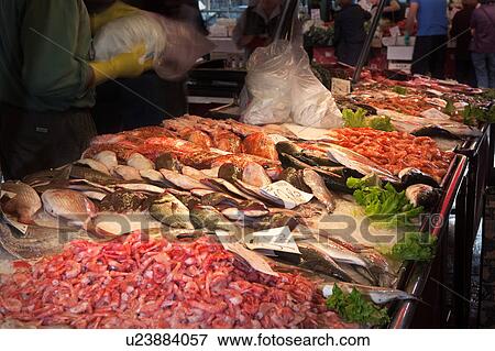 Fish market at Rialto Bridge: close up of display, with motion blur of vendor packaging fish, and shoppers in background, Venice, Northern Italy View Large Photo Image Stock Photo - Fish market at Rialto Bridge: close up of display, with motion blur of vendor packaging fish, and shoppers in background, Venice, Northern Italy. Fotosearch