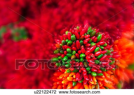 Red and green chilis on display with very blurred, abstract background, fruit and vegetable market of Rialto, Venice, Northern Italy View Large Photo Image Stock Image - Red and green chilis on display with very blurred, abstract background, fruit and vegetable market of Rialto, Venice, Northern Italy. Fotosearch