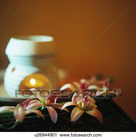 Aromatherapy burner and flowers View Large Photo Image Stock Image - Aromatherapy burner and flowers. Fotosearch