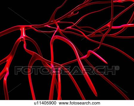 Arteries, computer artwork View Large Photo Image Stock Image - Arteries, computer artwork. Fotosearch