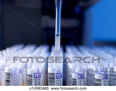 Automated blood sample testing View Large Photo Image Stock Photography - Automated blood sample testing. Fotosearch