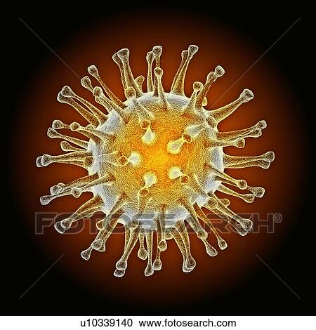 Stock Image - Avian influenza virus, computer artwork. Fotosearch