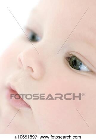 Baby View Large Photo Image Stock Photo - Baby. Fotosearch