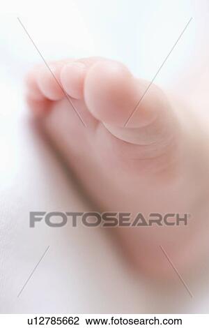 Baby's foot View Large Photo Image Stock Image - Baby's foot. Fotosearch