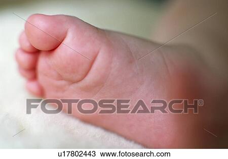 Baby's foot View Large Photo Image Stock Image - Baby's foot. Fotosearch