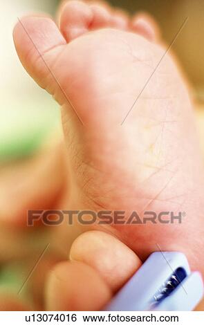 Baby's foot View Large Photo Image Stock Photograph - Baby's foot. Fotosearch
