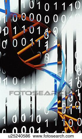 Stock Photograph - Biological computing. Fotosearch