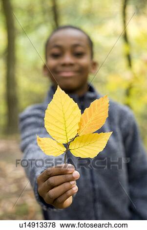 Stock Photo - Boy holding autumn leaves. Fotosearch