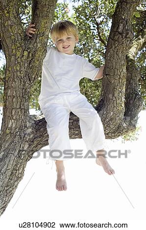 Boy sitting in a tree View Large Photo Image Stock Image - Boy sitting in a tree. Fotosearch