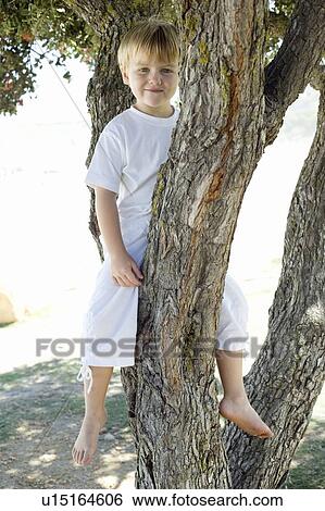 Boy sitting in a tree View Large Photo Image Stock Photograph - Boy sitting in a tree. Fotosearch