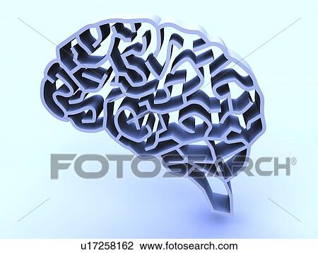 Stock Image - Brain complexity, conceptual artwork. Fotosearch
