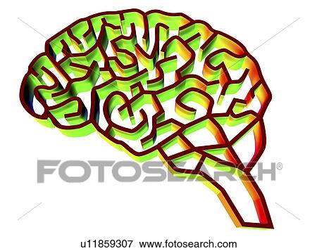 Brain complexity, conceptual artwork View Large Photo Image Stock Photo - Brain complexity, conceptual artwork. Fotosearch