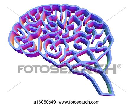 Brain complexity, conceptual artwork View Large Photo Image Stock Photo - Brain complexity, conceptual artwork. Fotosearch